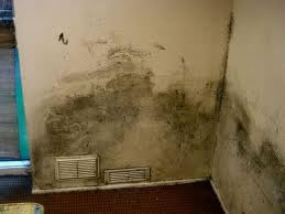 Mould and damp in a building, caused by condensation.